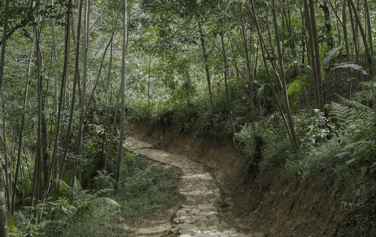 Atmosfer Tempat tinggal Kanekes di Lebak, Banten. Sumber: Canva